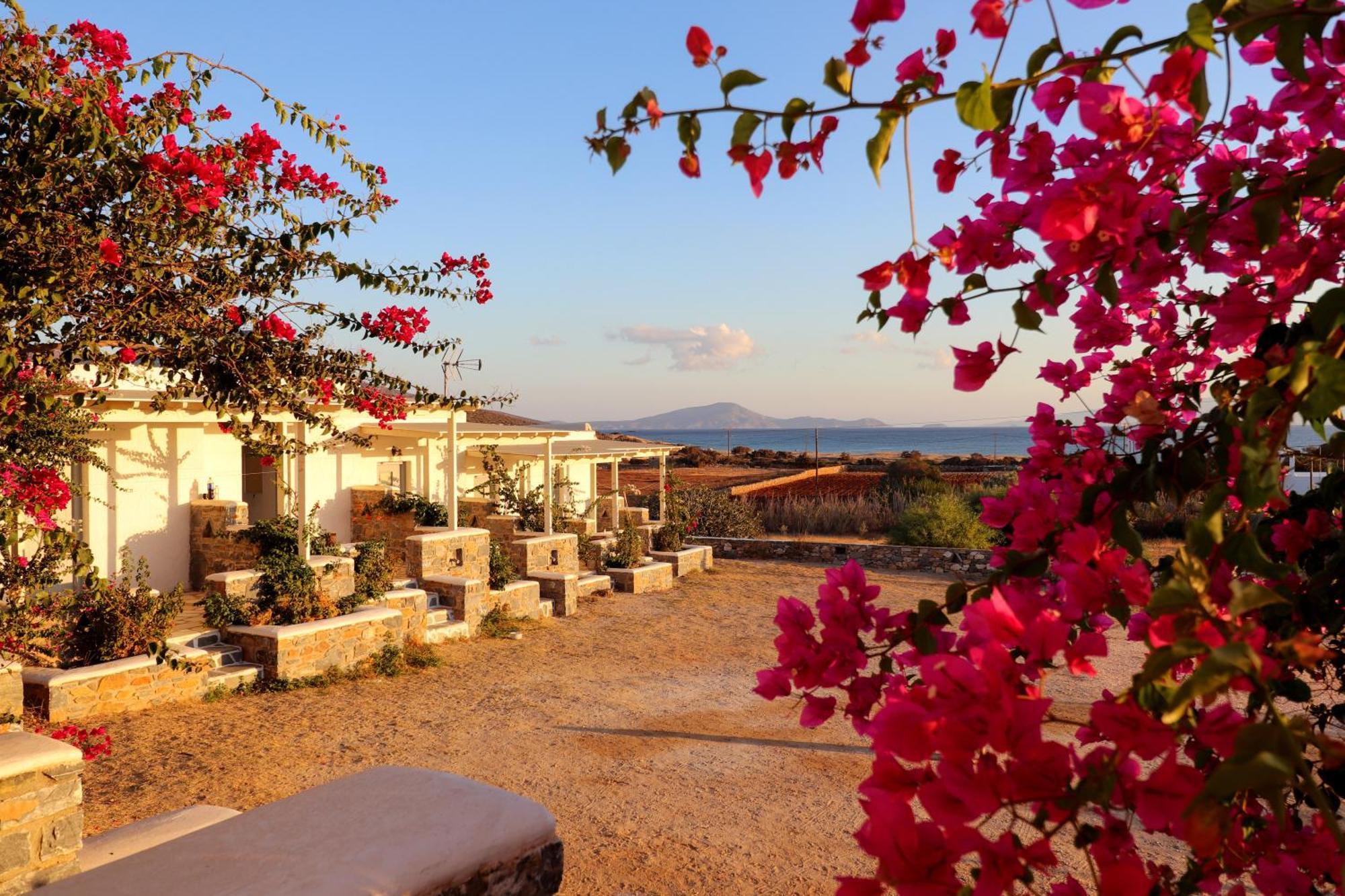 Sunny Studios Naxos Aliko Beach Bagian luar foto