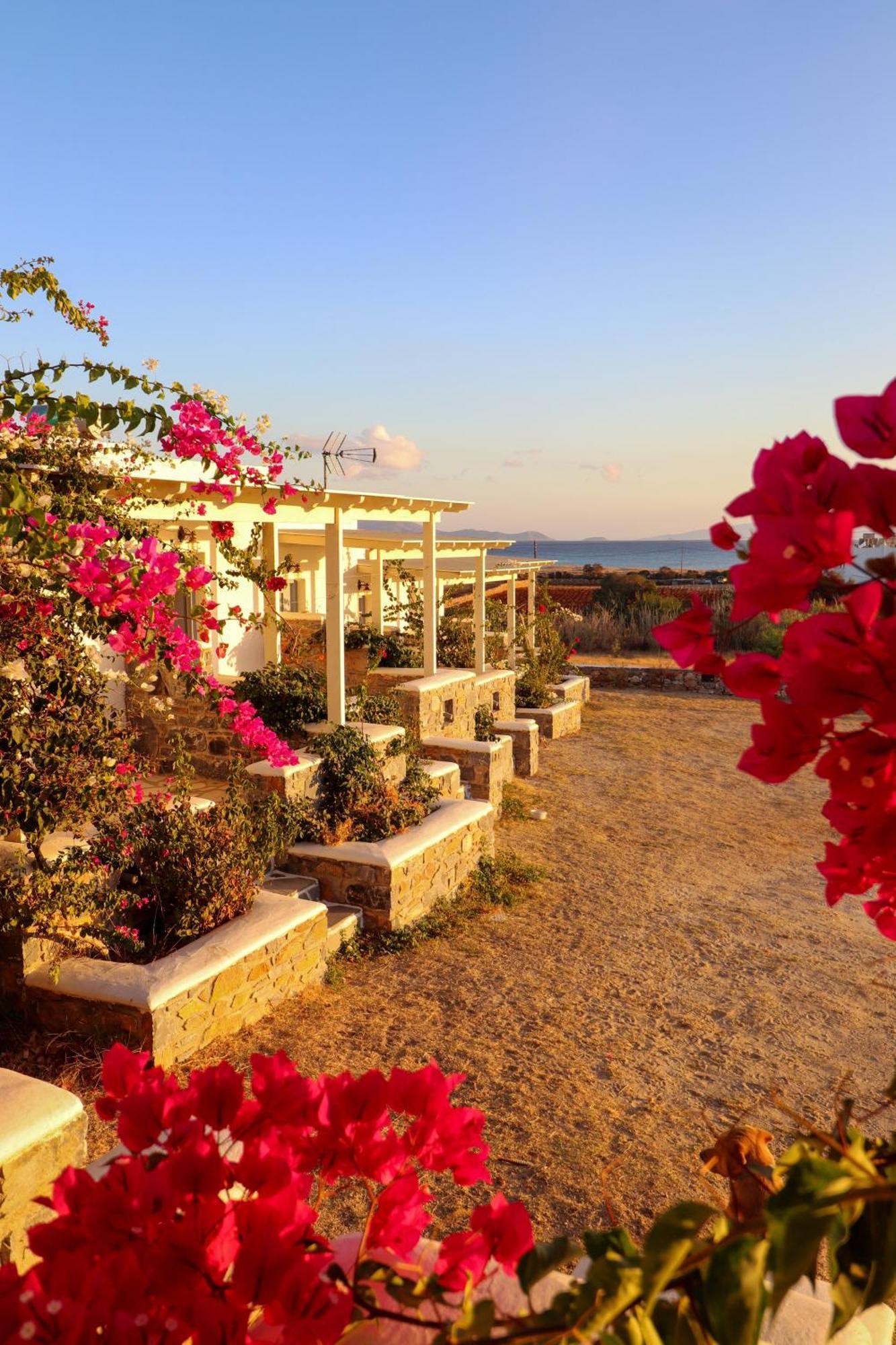 Sunny Studios Naxos Aliko Beach Bagian luar foto